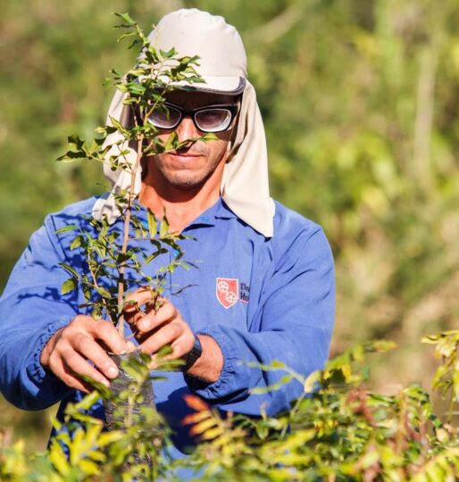 Duas Rodas sustentabilidade