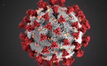 O combate ao coronavírus se faz com aceitação, resistência e responsabilidade