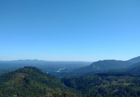 Serra do Mar na Regiao Metropolitana de Curitiba Foto Gislene Bastos