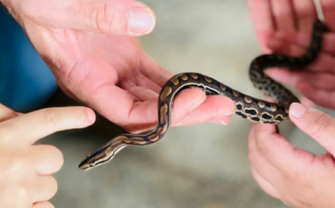 Experiência Gislene Bastos