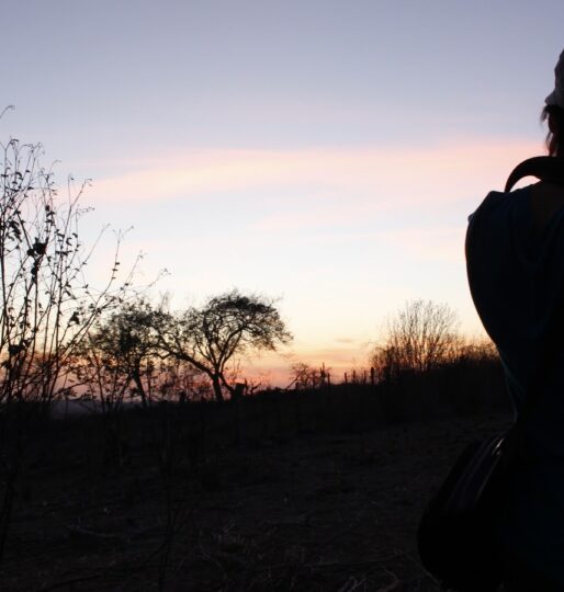 H44 Filmes: Onde o Jornalismo encontra o Cinema