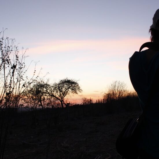 H44 Filmes: Onde o Jornalismo encontra o Cinema