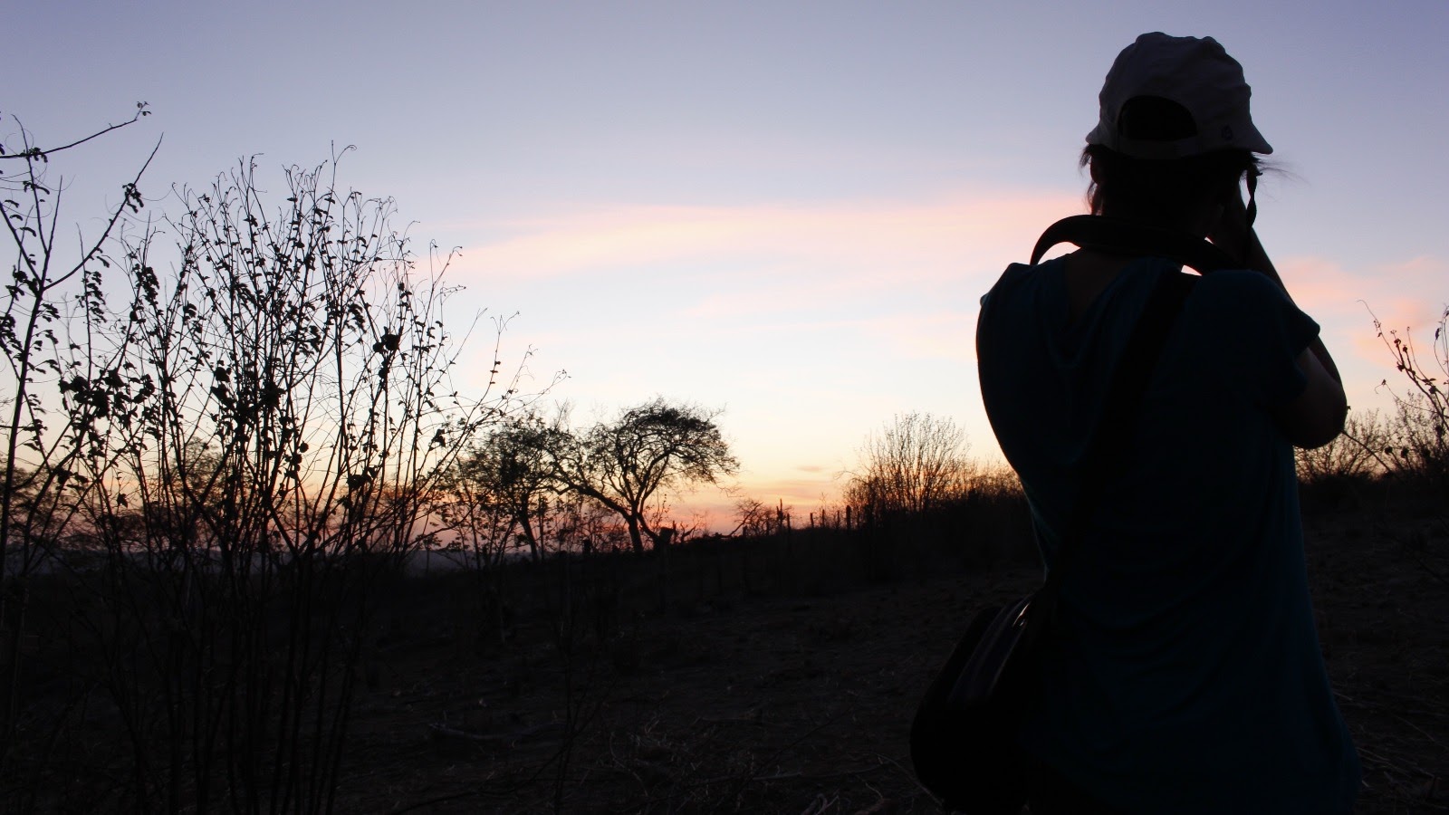 H44 Filmes: Onde o Jornalismo encontra o Cinema