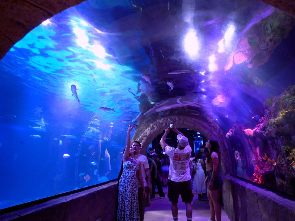 Oceanic Aquarium em Balneário Camboriú. Foto: Divulgação